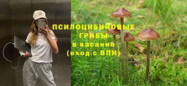 героин Алзамай