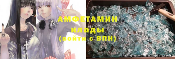 метадон Алексин