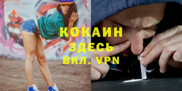 метадон Алексин