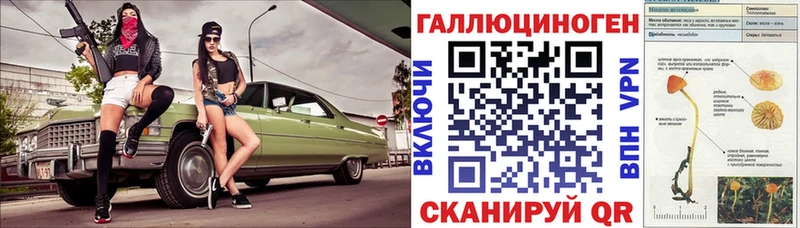 Галлюциногенные грибы GOLDEN TEACHER  продажа наркотиков  Себеж 